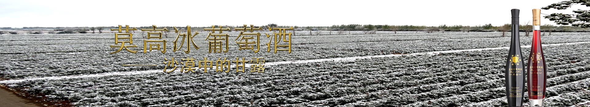莫高冰葡萄酒
