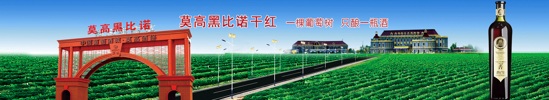 莫高黑比诺干红